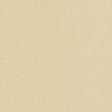 Glimmer Solids by Cloud9 - Champagne (Qty 1 = 1/2 yd)