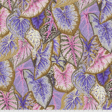 Collective Stash by Kaffe Fassett - Caladiums in Pastel